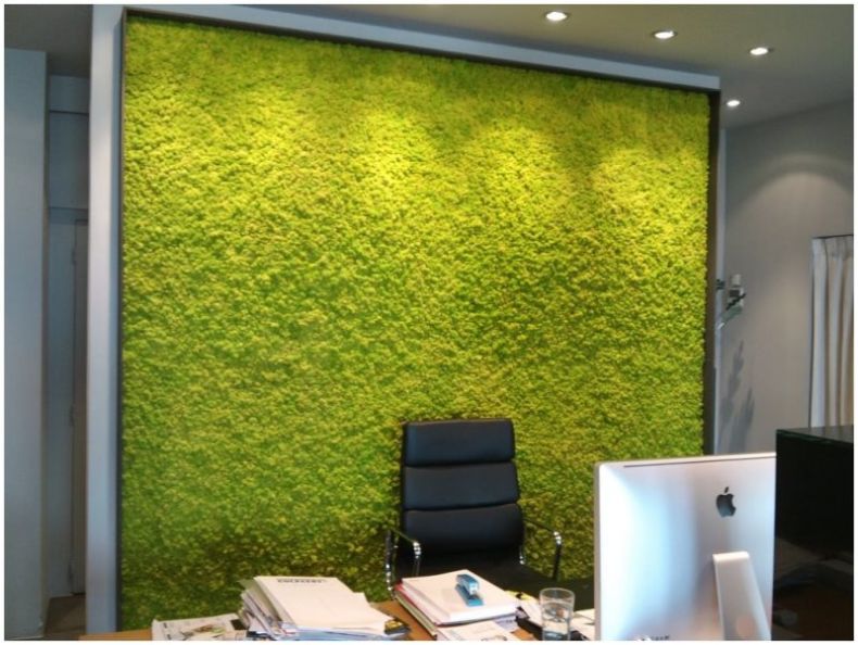 kover-na-stene-v-interere-foto_10