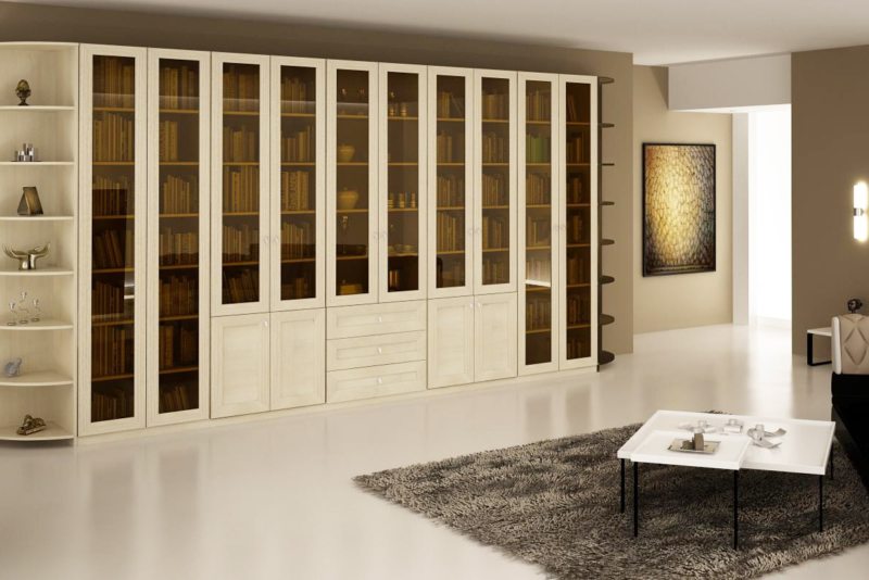 Шкафы для гостиной (16)