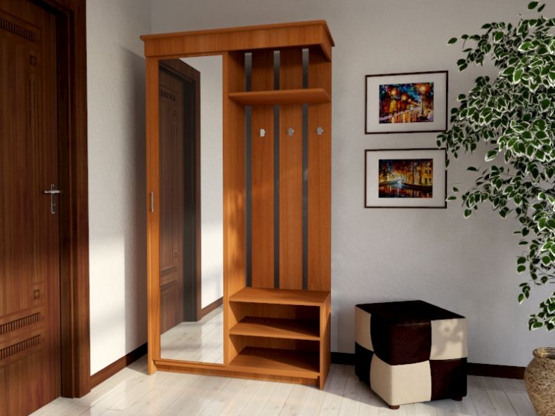 prikhozhaya_pr_2_vishnya