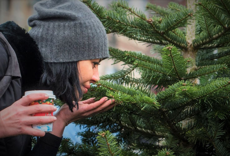 Как выбрать и украсить елку на Новый год 2022 + Советы по самостоятельному изготовлению