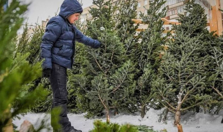 Как выбрать и украсить елку на Новый год 2022 + Советы по самостоятельному изготовлению