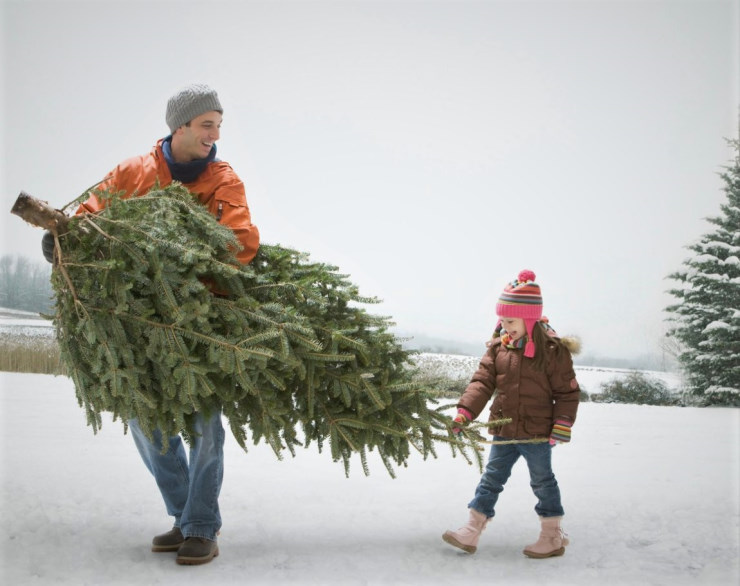 Как выбрать и украсить елку на Новый год 2022 + Советы по самостоятельному изготовлению