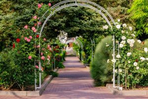 Санаторий "Золотой берег" в Крыму: Обитель здоровья и релаксации